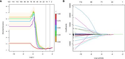 Non-Invasive Radiomics Approach Predict Invasiveness of Adamantinomatous Craniopharyngioma Before Surgery